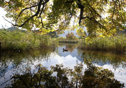Egelsee Abtenau